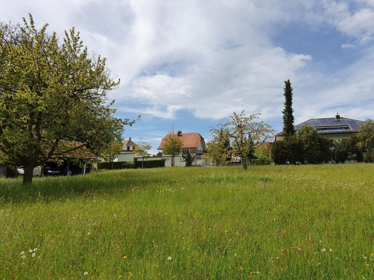 Apartament Bed N Bureau Roggwil Roggwil  Zewnętrze zdjęcie